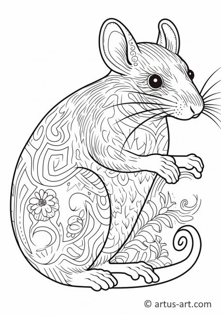 Shrew Coloring Page